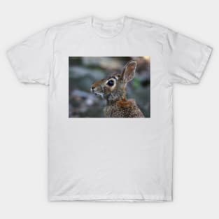Hare today...gone tomorrow T-Shirt